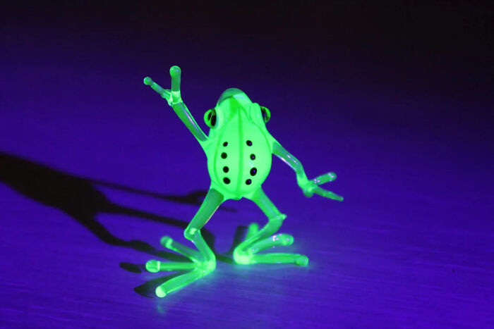 I Created Uranium Frogs That Glow Under The Ultraviolet Light For A Theme Party