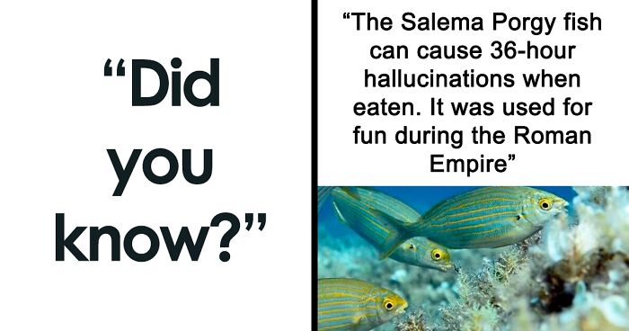 53 Times This Instagram Account Posted Fascinating Fun Facts (New Pics)