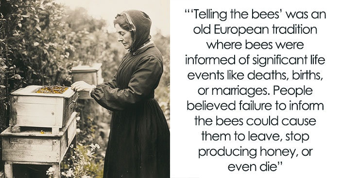 80 Captivating Tales From History Shared By This Online Community