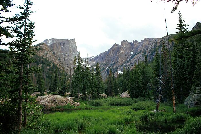 Scenic mountain view with lush greenery and pine trees, reminiscent of picturesque Tuscany region landscapes in Italy.