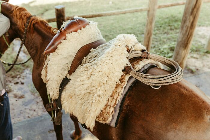 Luxurious horse saddle with sheepskin cover, representing expensive items worth spending money on.