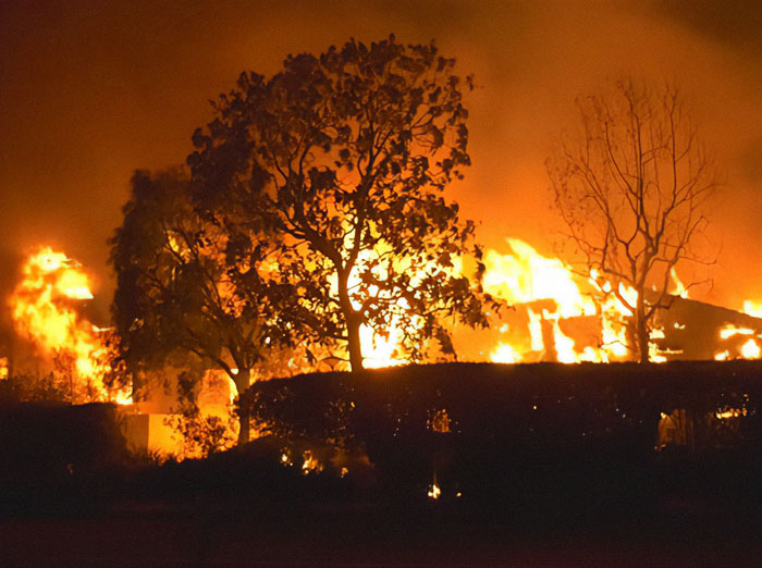 Intense wildfire flames engulf trees and bushes, highlighting the need for private firefighters to protect homes.