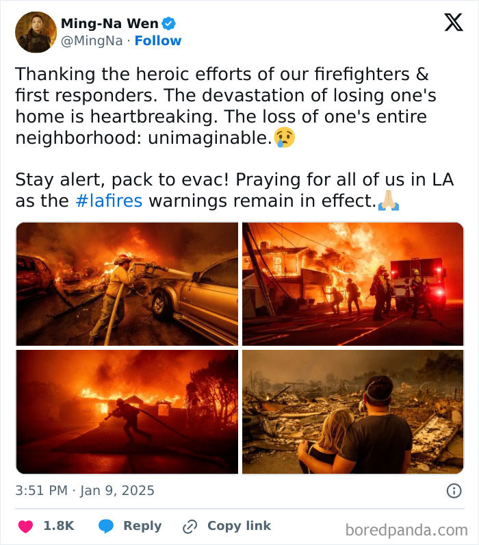 Los-Angeles-Fires-Wholesome-Moments