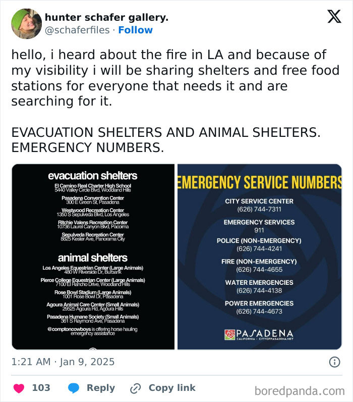 Los-Angeles-Fires-Wholesome-Moments