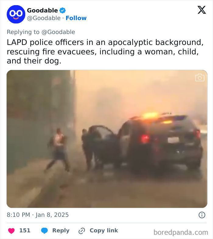 Los-Angeles-Fires-Wholesome-Moments