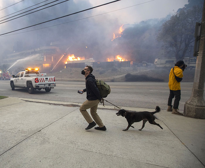 Los-Angeles-Fires-Wholesome-Moments