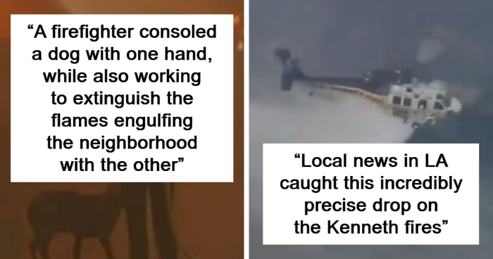 28 Times People Proved There Is Still Good Left In The World Amidst LA Fires