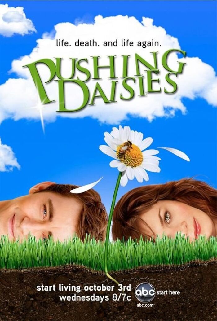 "Pushing Daisies poster featuring a man and woman under grass with a daisy in focus, illustrating TV shows disappointment."