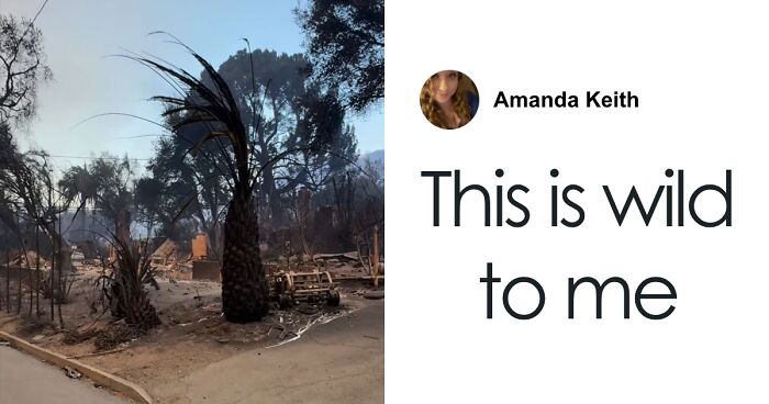 ‘Millionaire’ Mandy Moore Blasted For GoFundMe Request Amid LA Wildfires: “This Is Messed Up”