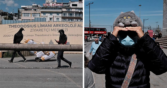 53 Hilarious Accidental Images Captured By This Street Photographer