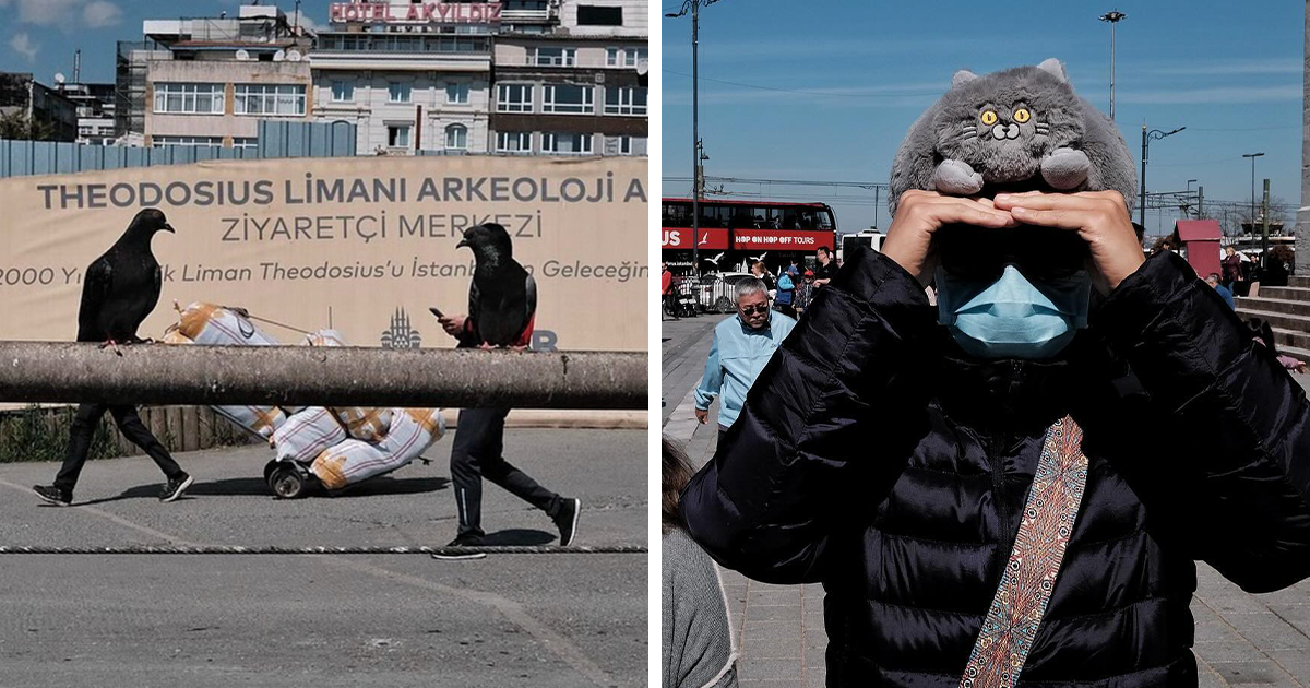 53 Hilarious Accidental Images Captured By This Street Photographer