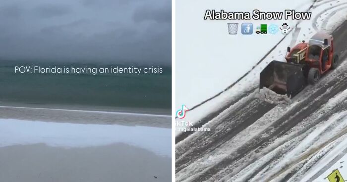 21 Crazy And Hilarious Photos Of Southerners In A Once-In-A-Lifetime Snowstorm