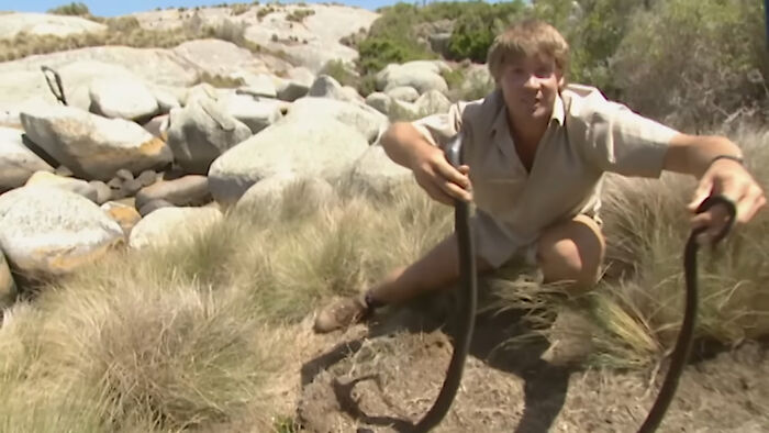 Person outdoors holding snakes near rocks and grass, associated with impactful celebrity deaths.