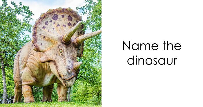 Roar Through These 15 Dinosaur Mysteries And Prove You’re A True Dino Expert