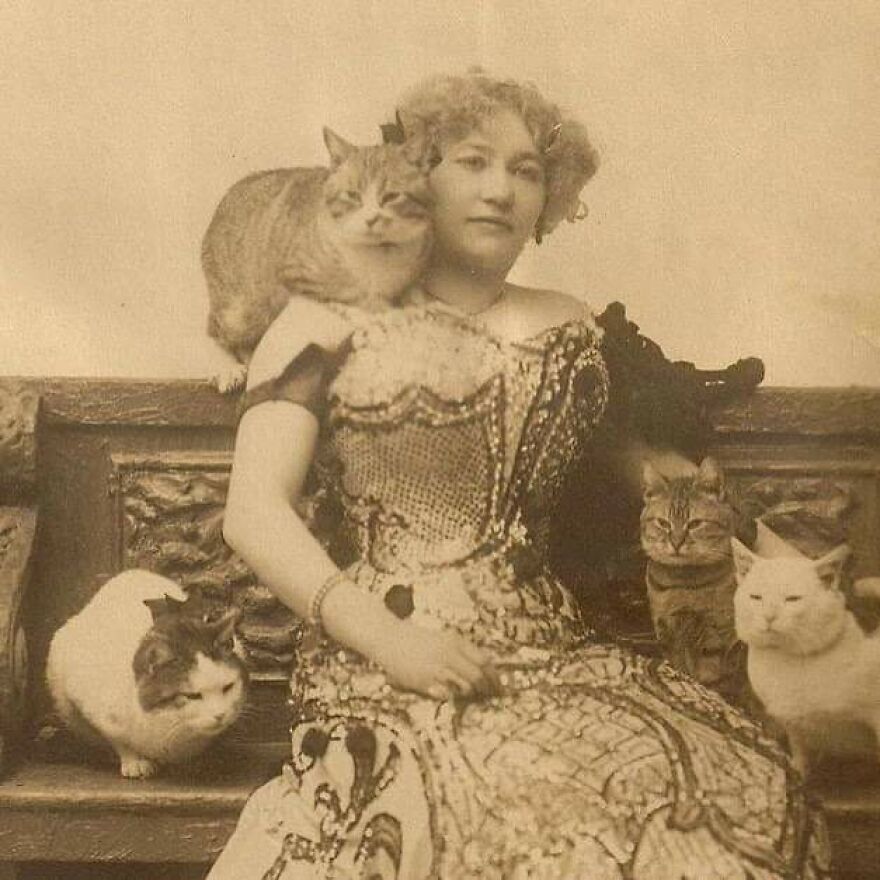 The Hidden History Of NYC’s “Crazy Cat Ladies” Is Coming To Life In This Unique Event