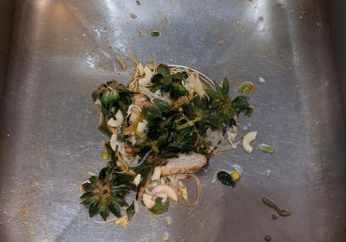 Food scraps in a sink, showcasing kitchen habits normal to US citizens but unfathomable to Europeans.