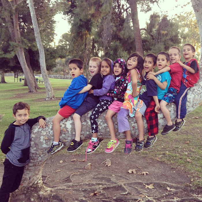 Nadya Suleman's octuplets sitting on a large tree branch, enjoying time in the park together.