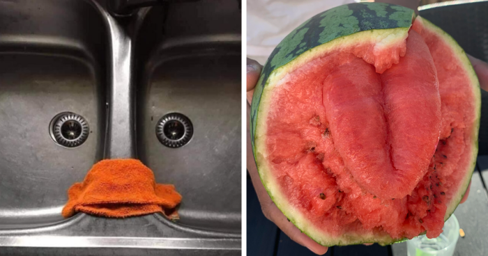 Funny Examples Of Pareidolia That Prove Our Brains Will Come Up With Anything (New Pics)