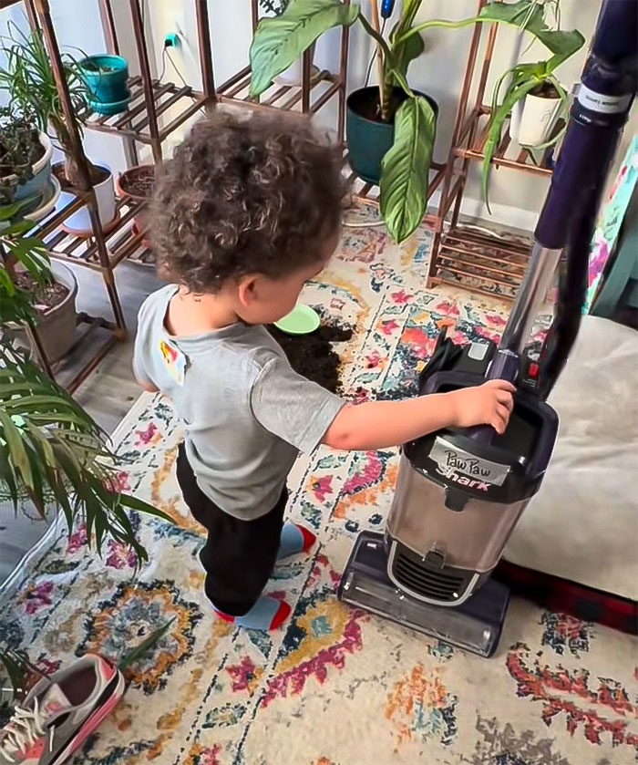 Child using a vacuum on a colorful rug, surrounded by houseplants.