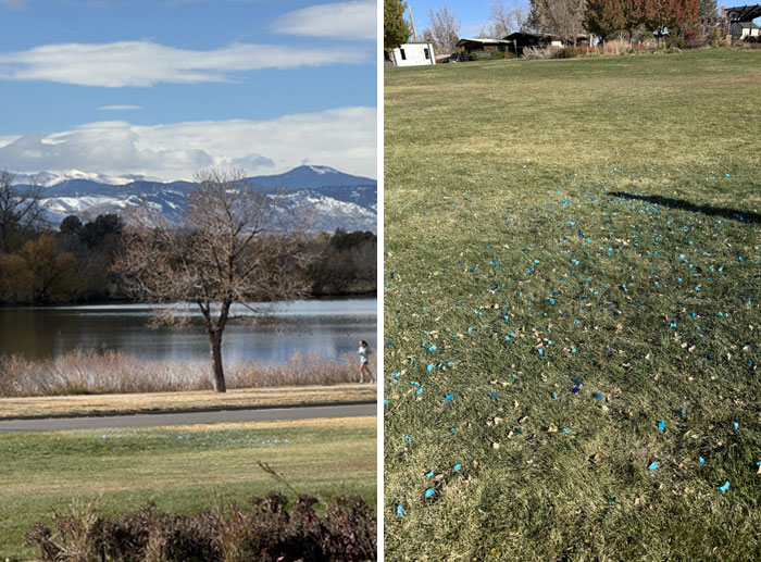 Litter scattered on grass in a park, showcasing people being complete jerks by littering.