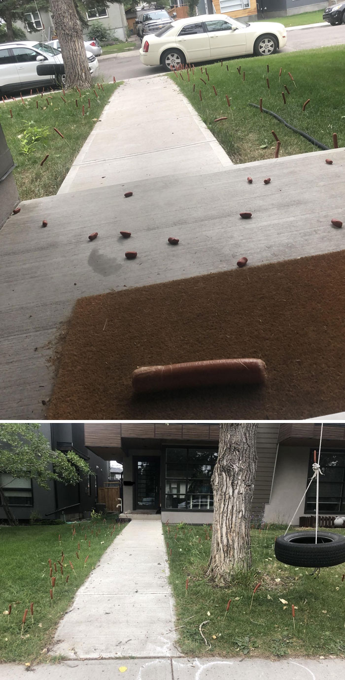 Sidewalk covered in sausages, showcasing people being jerks with a playful prank.