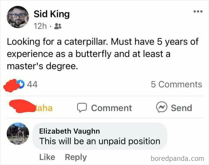 Job Ads Nowadays. Sorry If Repost I Didn’t Find It In Search