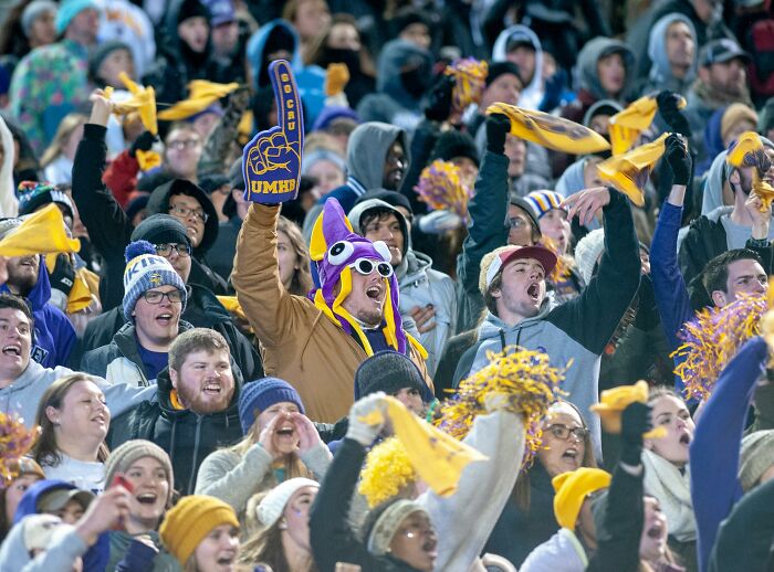 Enthusiastic crowd at a sports event, waving banners and cheering in high energy.