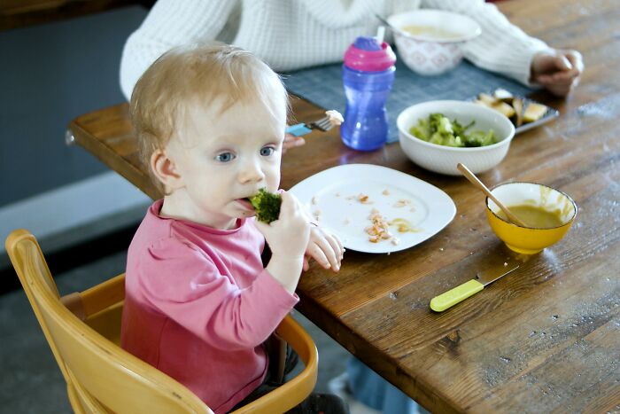 Child in a high chair eating broccoli at a table, indicative of parenting habits.