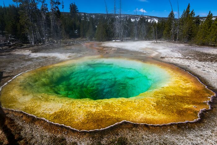 Colorful hot spring surrounded by forest landscape.