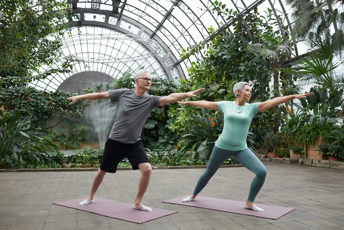 Older adults practicing yoga in a greenhouse, focusing on healthy lifestyle changes.