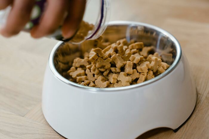 Hand pouring expensive dog food into a white bowl.