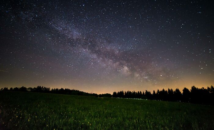 Starry night sky over a grassy field with the Milky Way visible, showcasing weird nature quirks.