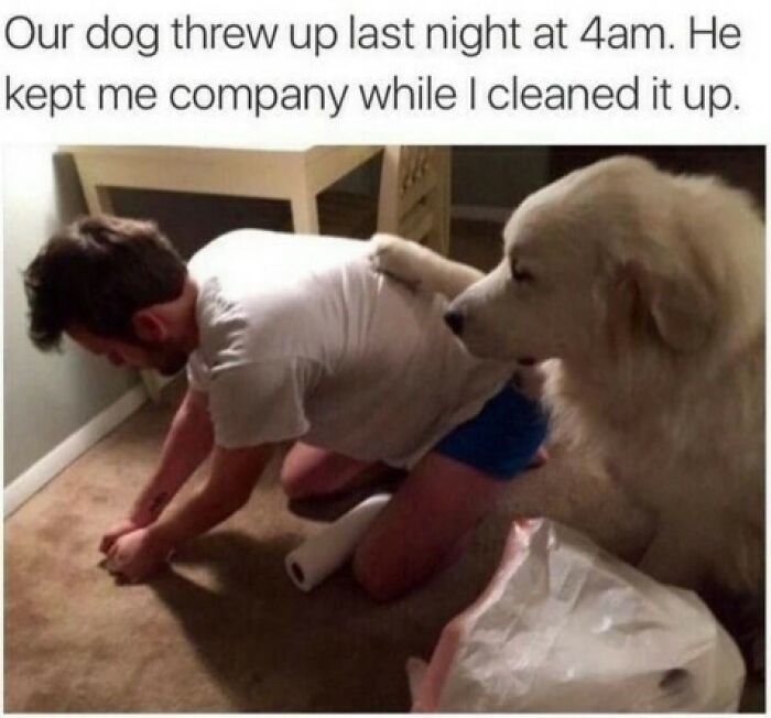 Man cleaning up at 4am with a dog comforting him, showcasing a humorous moment from 'Animal Antics.'