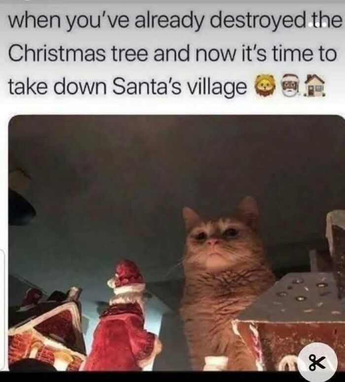 Cat plotting in Santa village setting, capturing the essence of funny animal antics.