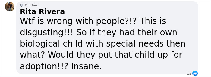 Text comment criticizing YouTubers Stauffer for rehoming their adopted son.