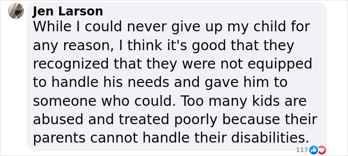 Comment discussing YouTubers Myka and James Stauffer's decision to rehome their adopted son.