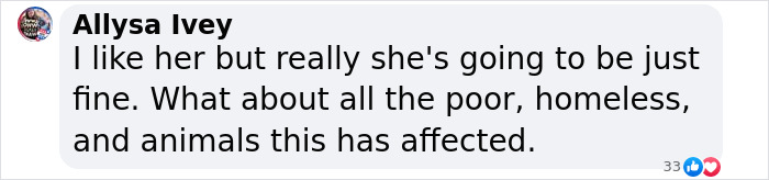 Comment criticizing celebrities for stealing spotlight during LA wildfires, focusing on affected poor, homeless, and animals.