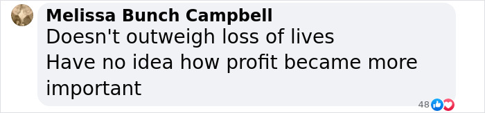 Comment criticizing focus on profit over lives amid UnitedHealth's loss.