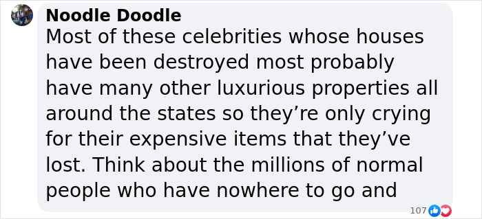 Text comment criticizing celebrities for focusing on losses during LA wildfires instead of ordinary victims.