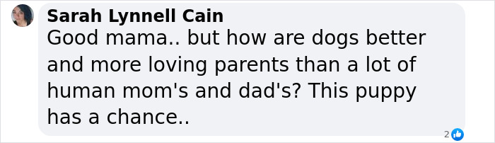 Text message from Sarah Cain about dogs being loving parents.