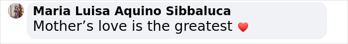 Comment expressing, “Mother’s love is the greatest,” followed by a heart emoji.