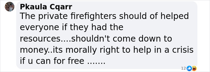 Screenshot of a comment discussing the role of private firefighters in crisis situations, emphasizing morality over cost.