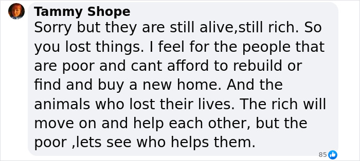 Tammy Shope's comment criticizing celebrities for overshadowing LA wildfires victims, highlighting disparity in recovery.