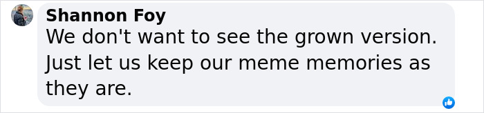 Text comment about meme memory preservation.