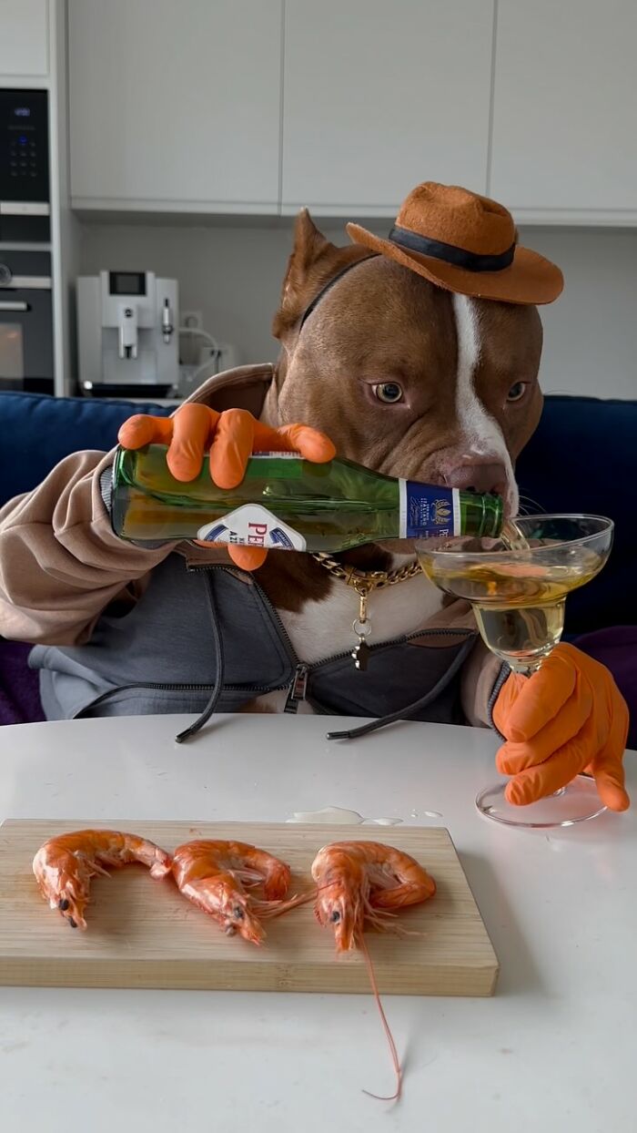 American Bully dog wearing a hat, pouring drink into glass, with prawns on a cutting board, showcasing dining etiquette.