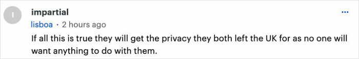 Comment discussing Meghan Markle's alleged behavior and privacy concerns.