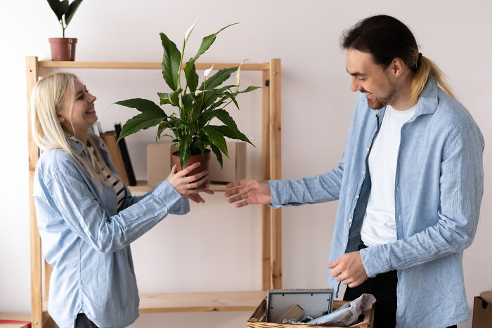 Two people smiling and exchanging a potted plant, demonstrating an interesting psychological trick in a casual setting.