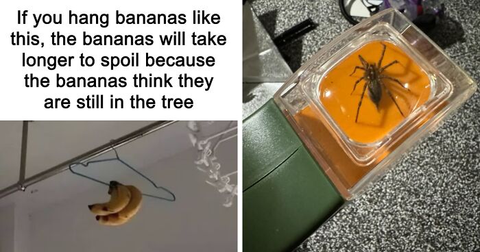 36 Random Finds That Are Just Pure Perfection In Every Way