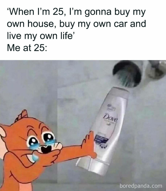 Crying cartoon character holding shampoo bottle, humorously contrasting life expectations and reality; random meme.