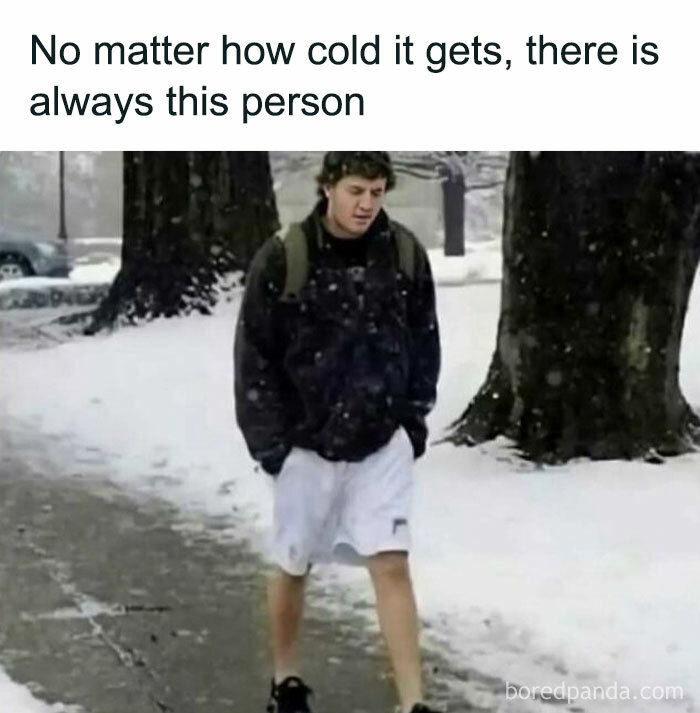 A person wearing shorts in the snow, highlighting hilariously random meme humor.